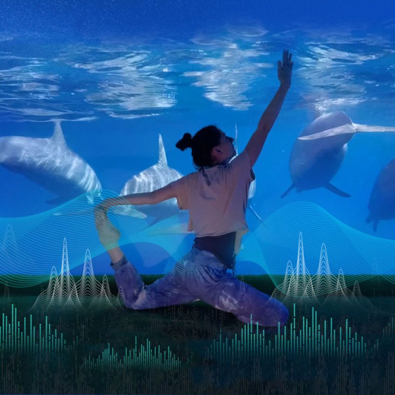 Sensorium Dolphins screen with Yoga header sensory solutions holistic audio Bournemouth UK